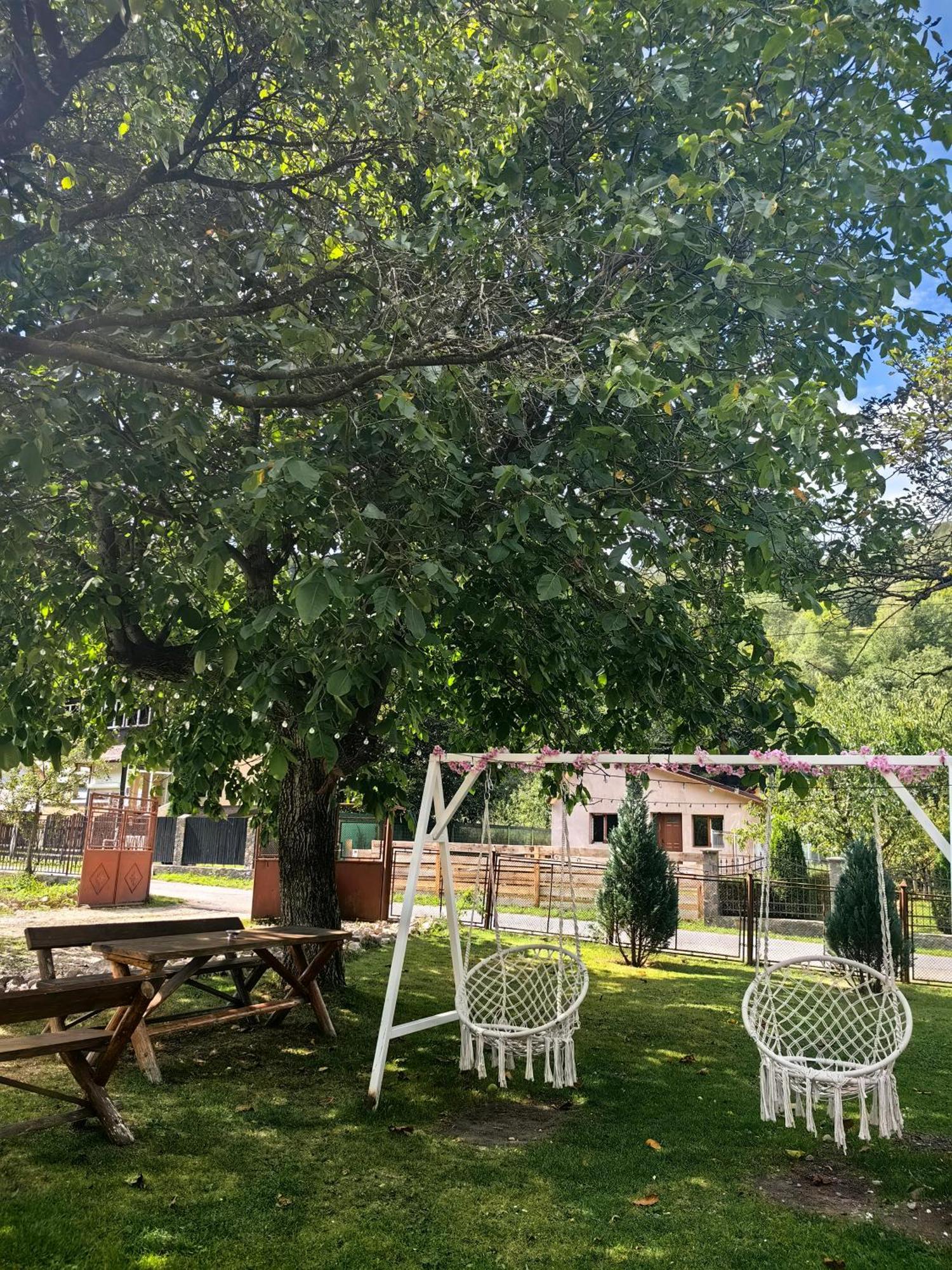 Voinescu House - Natural Living & Eating سيمون المظهر الخارجي الصورة